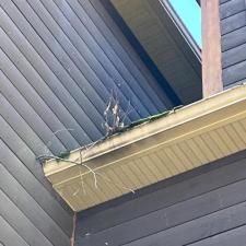Window Gutter Cleaning in Burnsville 1