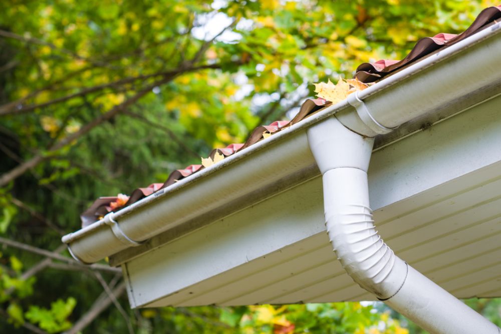 gutter cleaning Lenoir NC