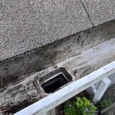 Expert-Gutter-Cleaning-in-Newland-NC 2